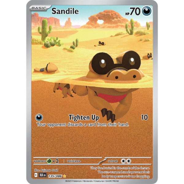 CopyofCopyofWebsitePics600x600-2025-07-29T172128.945.png